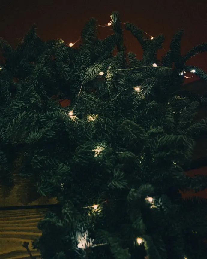 a teddy bear is sitting on a table next to a christmas tree
