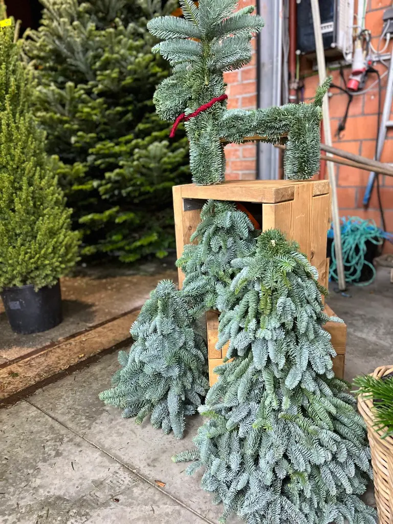 WhatsApp Image 2025-10-25 at 20.10.26_37882601.webp