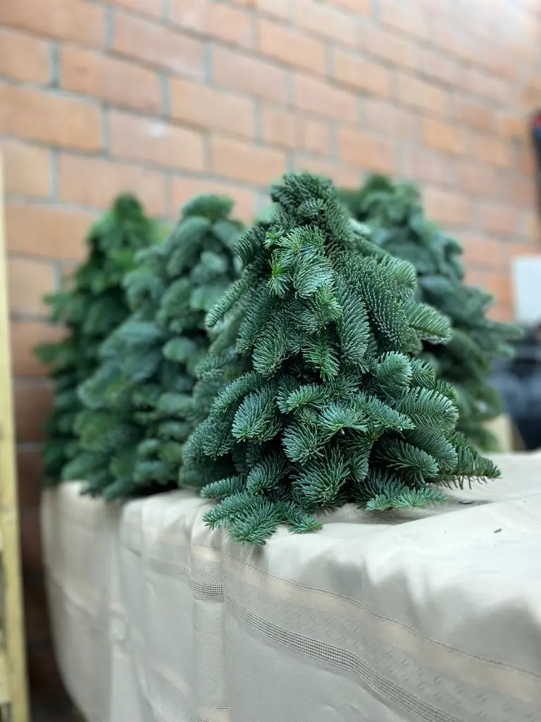 WhatsApp Image 2025-10-25 at 20.10.25_fed9310e.webp