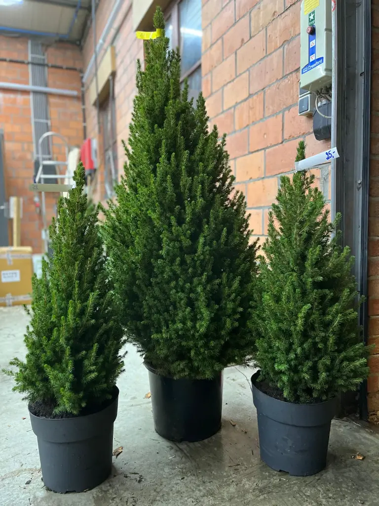 WhatsApp Image 2025-10-25 at 20.17.03_c9f2203f.webp