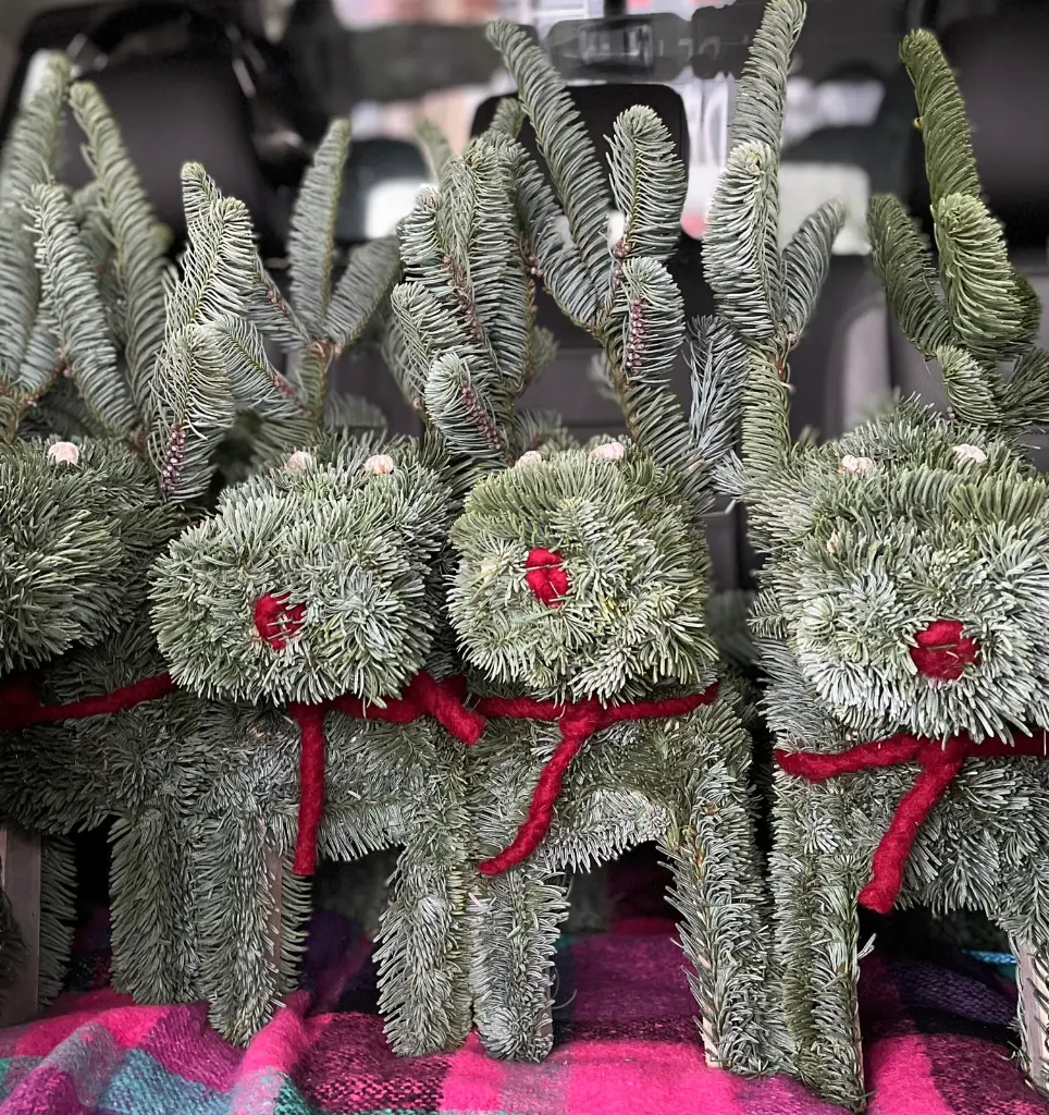 WhatsApp Image 2025-10-25 at 20.10.25_8ddd9ac4.webp